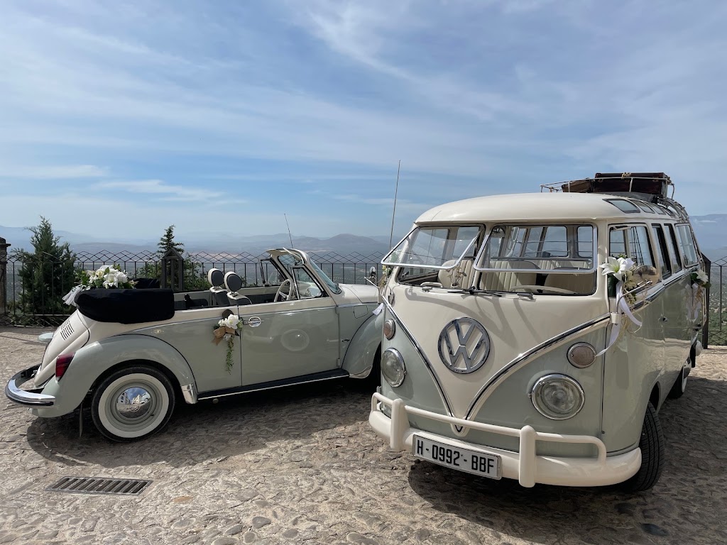 Clasicos Vintage