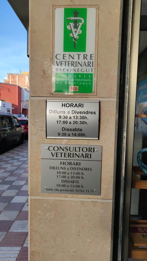 Mundi Shop — Del propietario