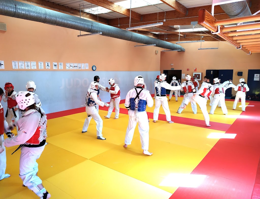 Club Artes Marciales Coslada | Taekwondo — Arte marcial