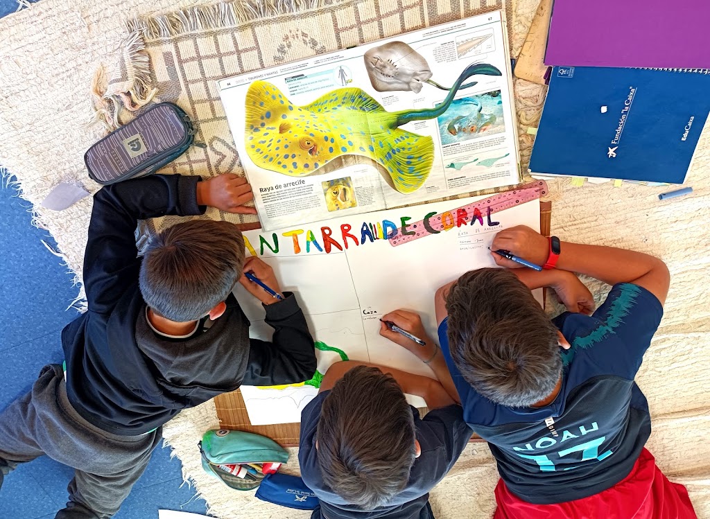 Crianca Montessori School — Estudiante
