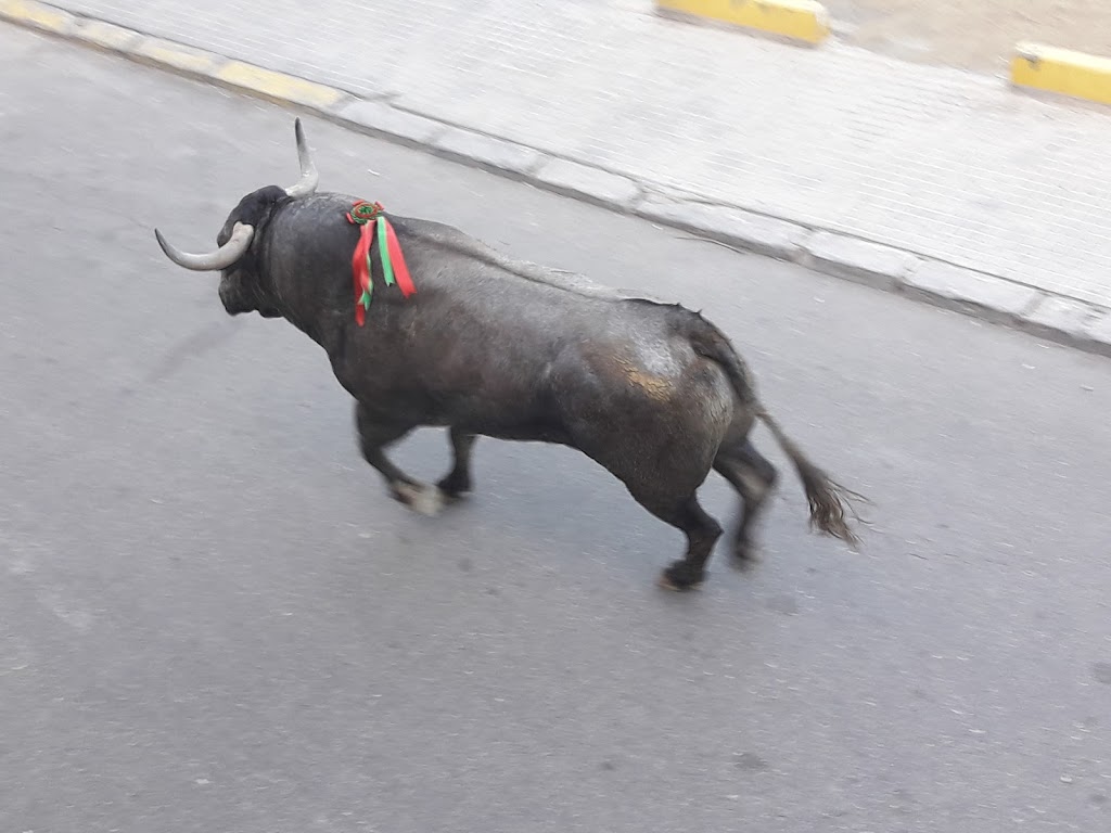 Aparcamiento publico