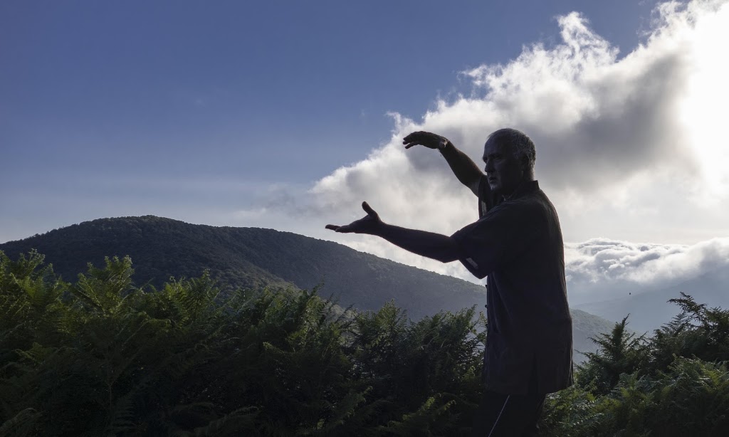 ASOCIACION SHEN QI YI.- Chi Kung y Tai Chi Chuan en Pamplona — Del propietario