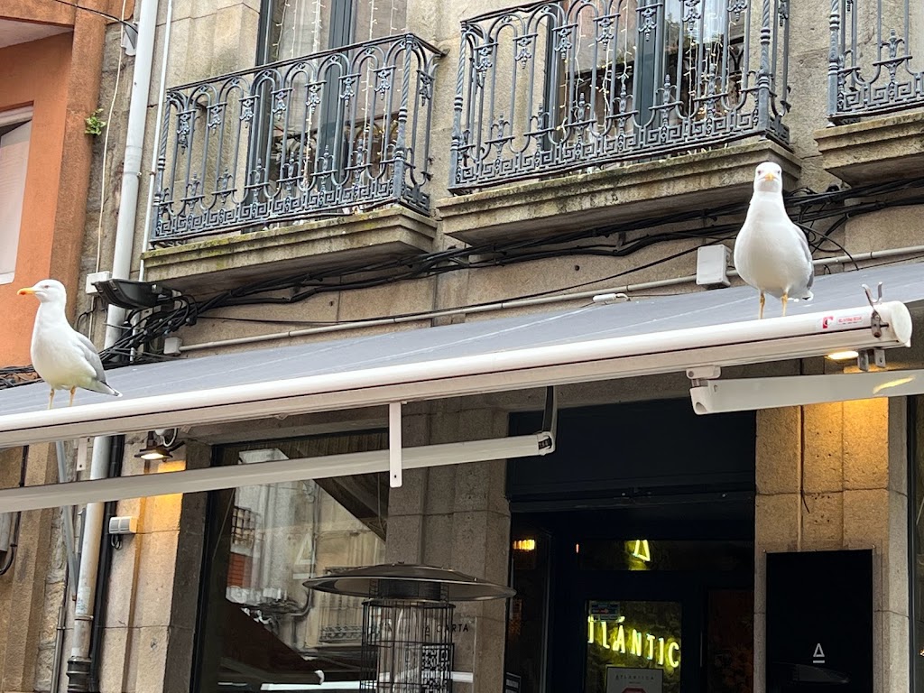 Taperia Vinoteca Xoxe's