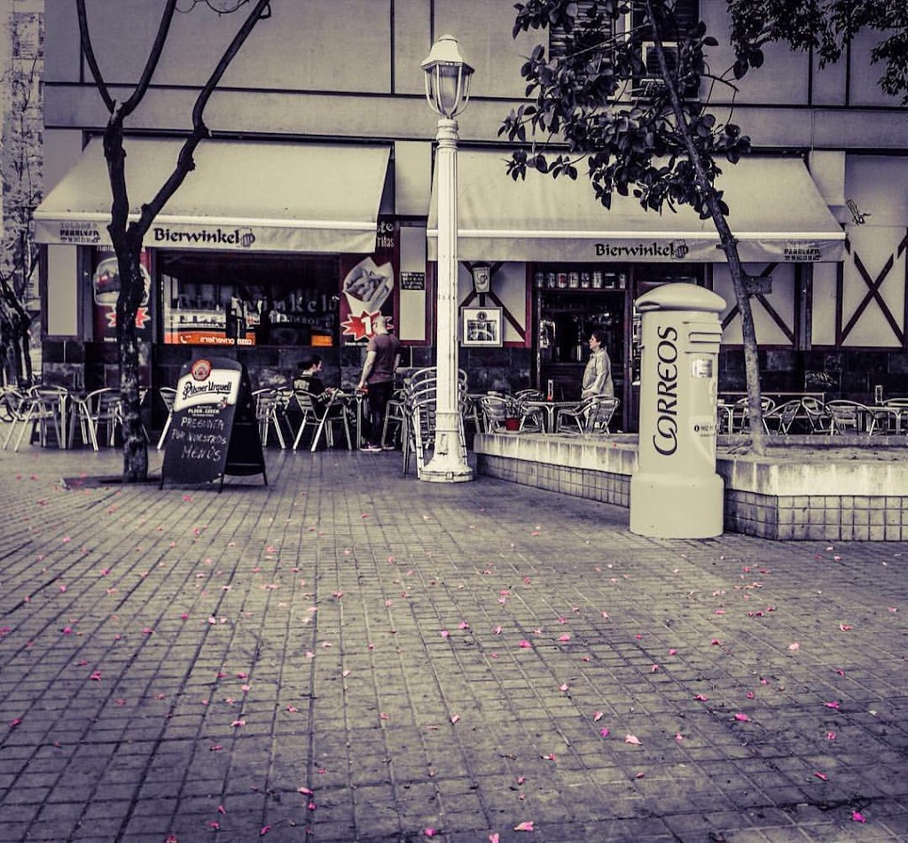 Cerveceria Bierwinkel