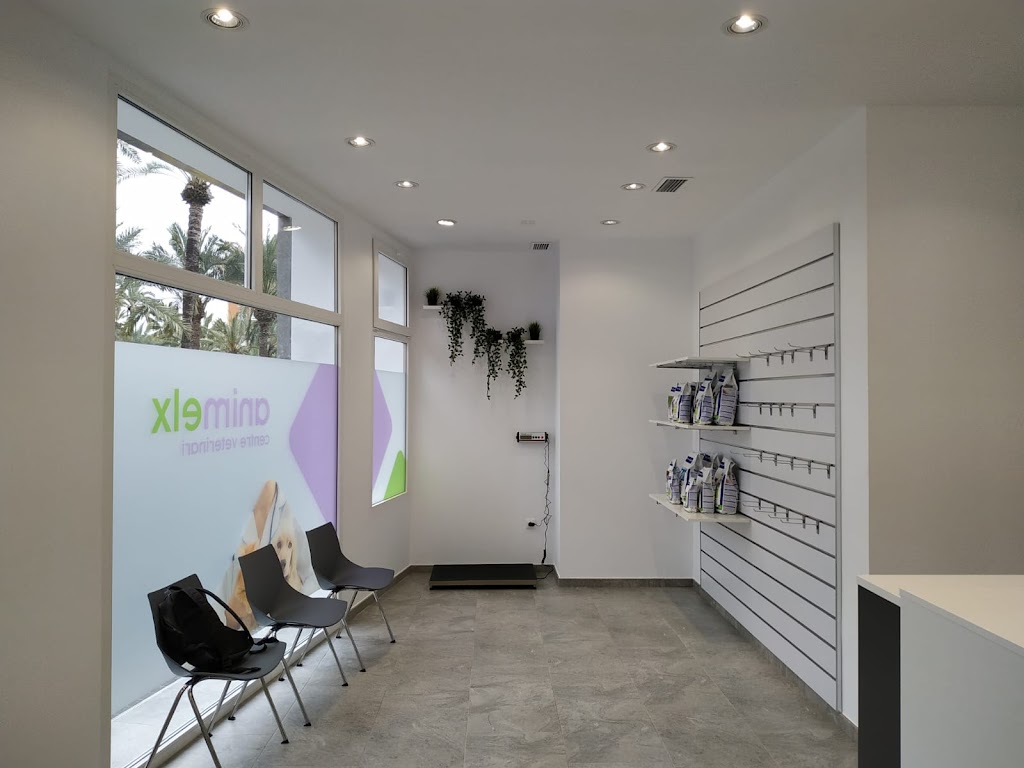 Veterinaria clinica Animelx Raval