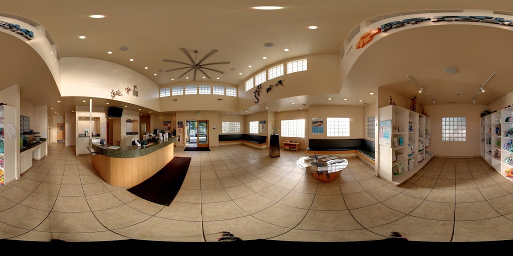 Street View & 360°