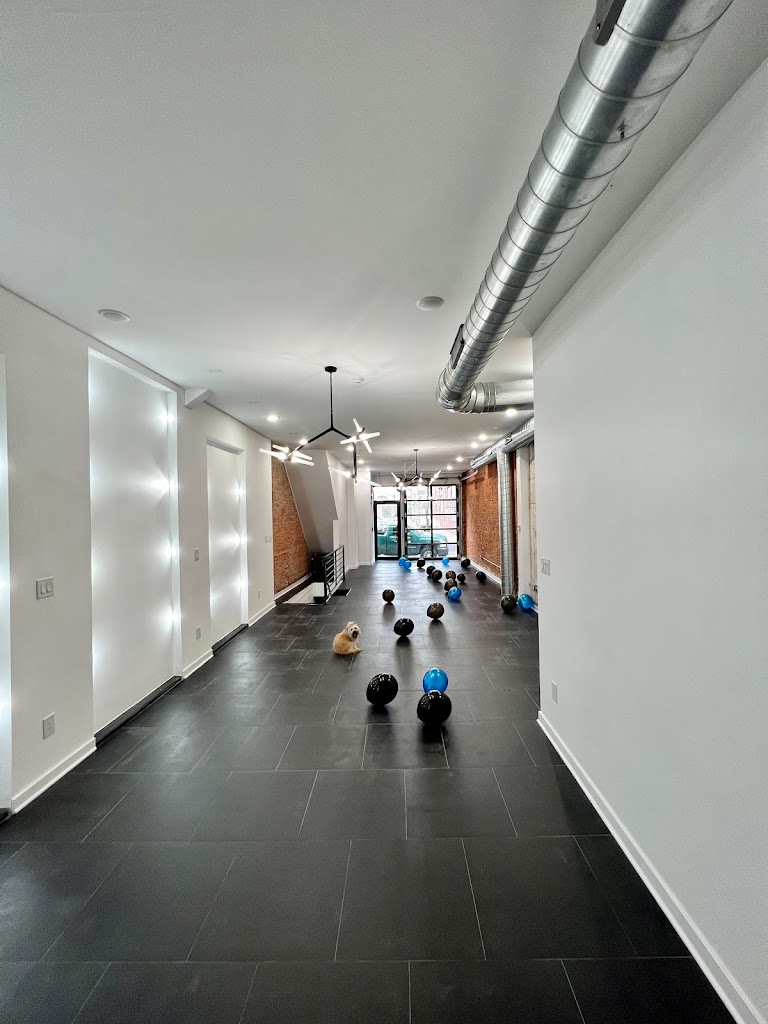 The Bridge Studio