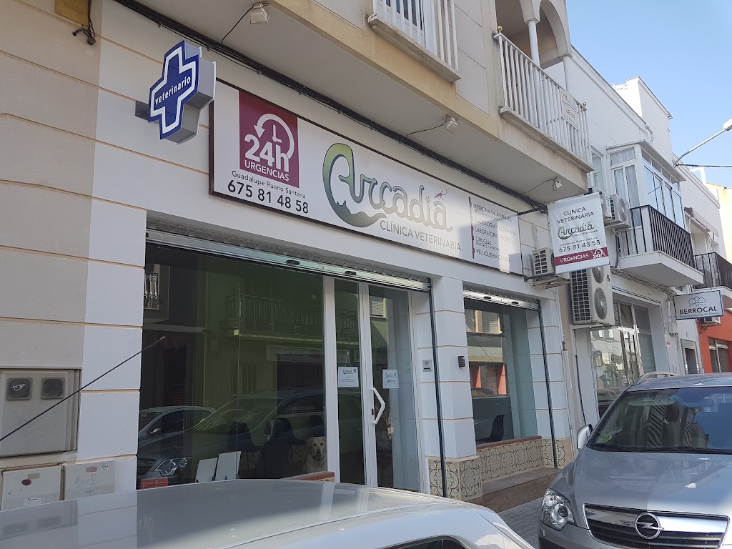 Clinica Veterinaria Arcadia — Del propietario