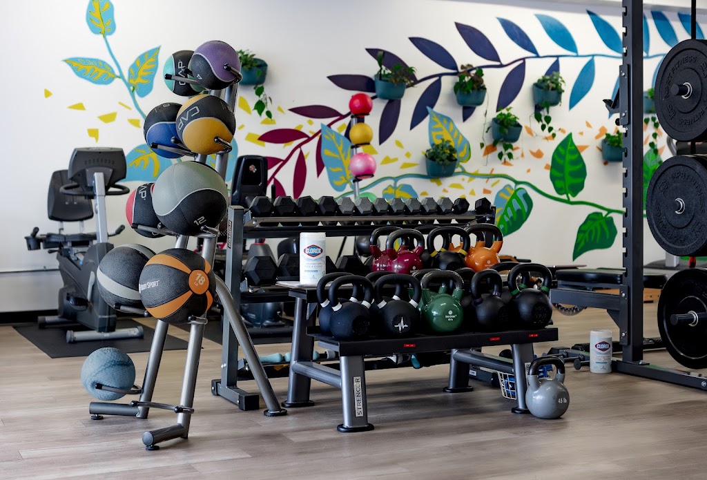  All Bodies Movement and Wellness