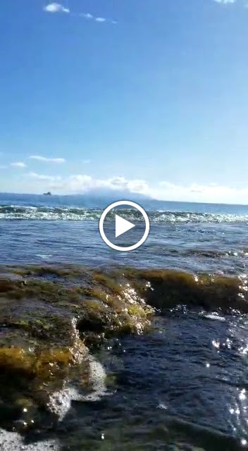 Videos
