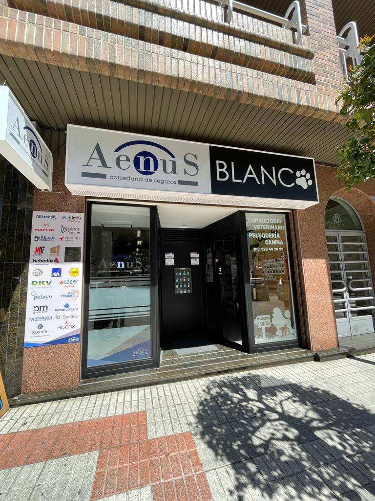 Blanco Mascotas