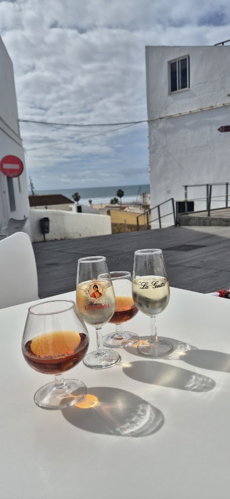 Bar Media Luna — Mas recientes