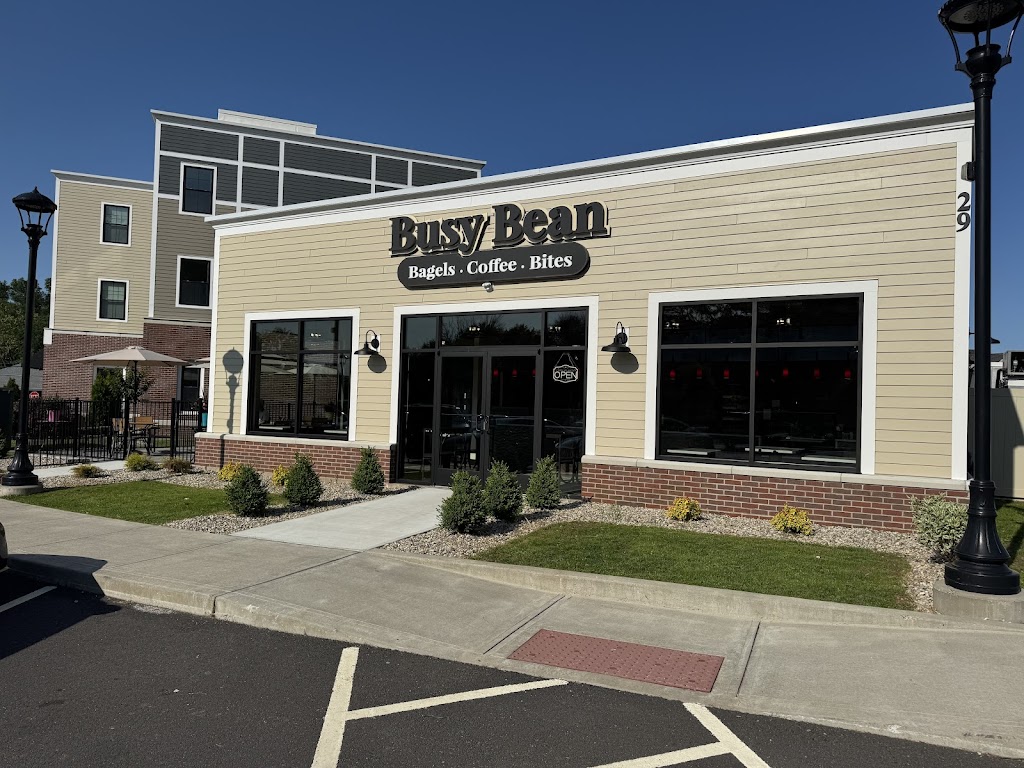 Photo of Busy Bean