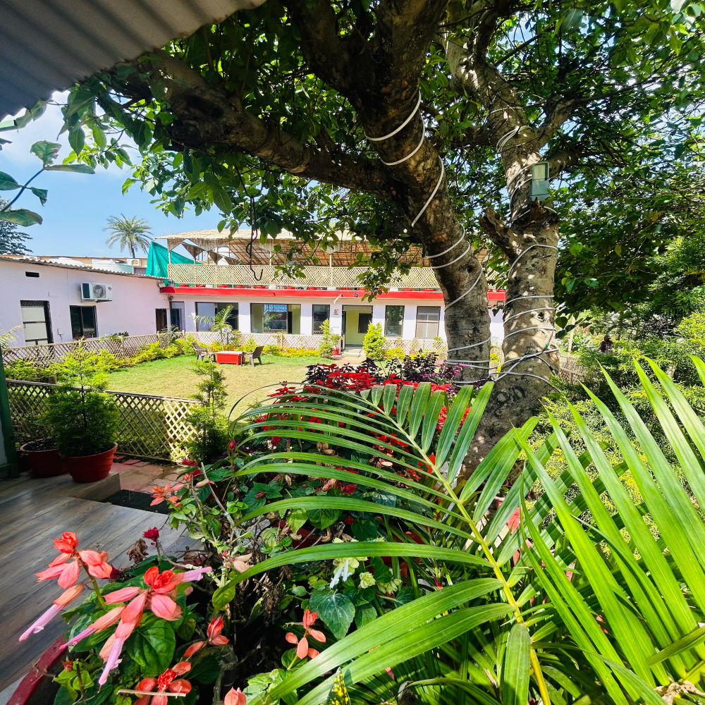 Happy Forest Inn