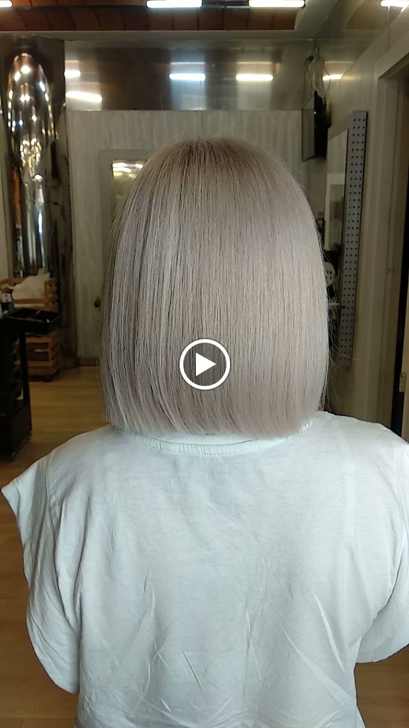 Equinoccio Peluqueros — Videos