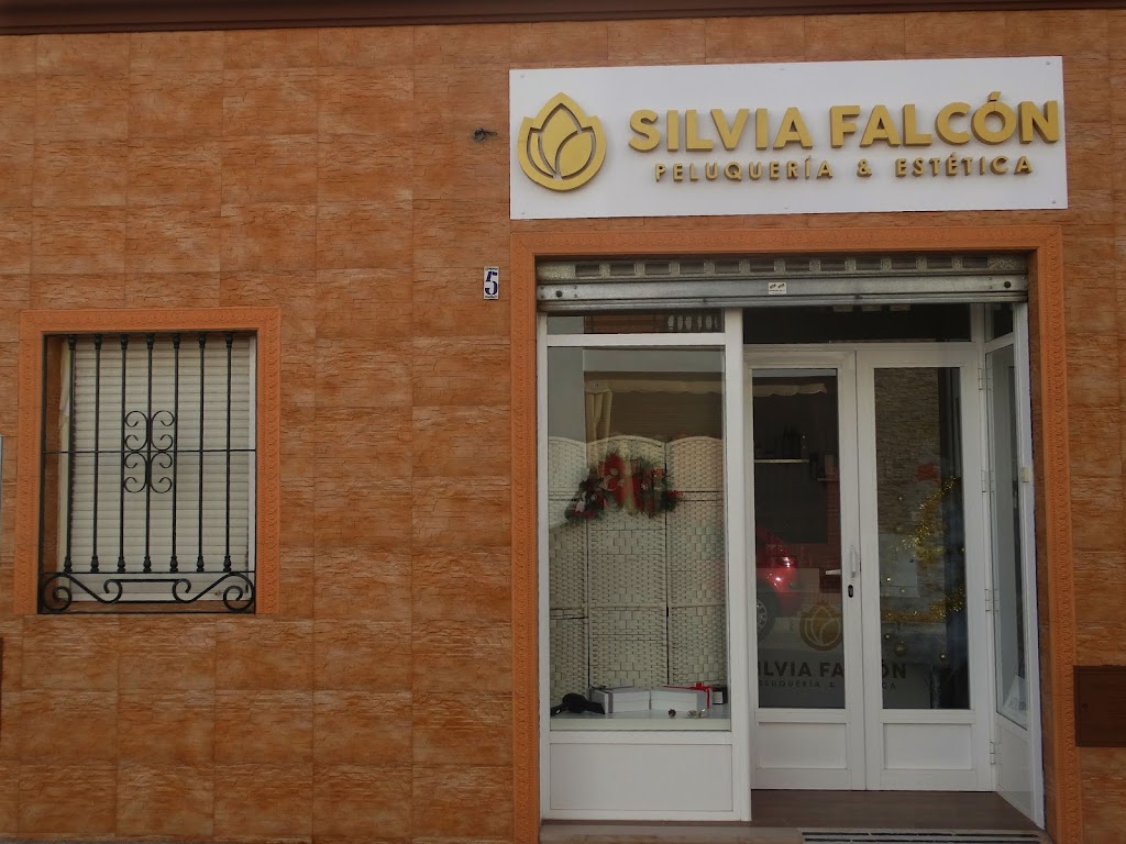 Centro de belleza Silvia Falcon