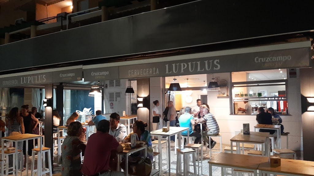 Lupulus Cerveceria — Ambiente