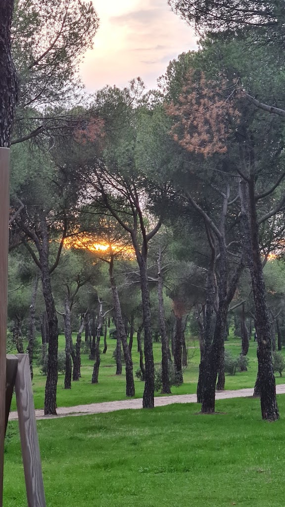 Parque Pinar de Las Rozas