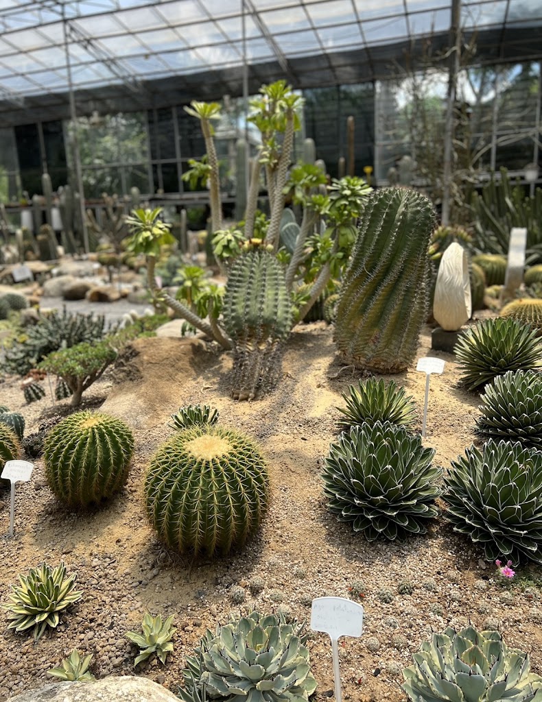 รูปภาพของ Botanist activity space