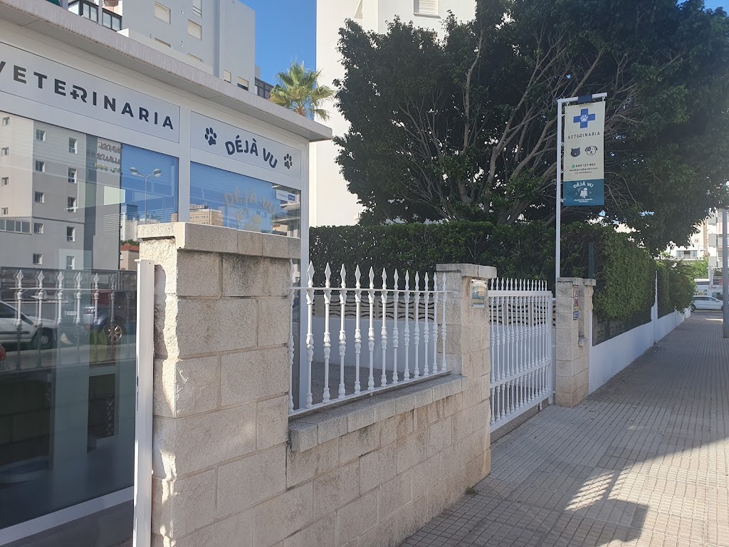Veterinaria Deja Vu (Cerrado por vacaciones desde el 19/01 hasta el 01/02 inclusive. Disculpen las molestias.) — Del propietario
