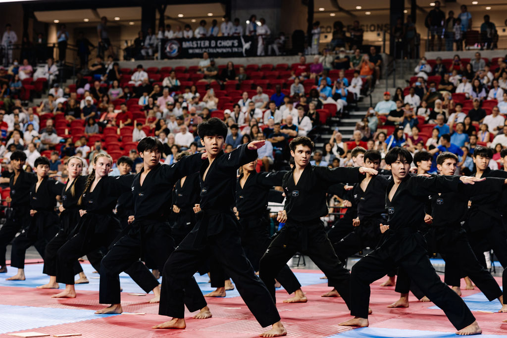  Leaders Taekwondo - Formerly know as Master Lee's World Champion TKD Firethorne