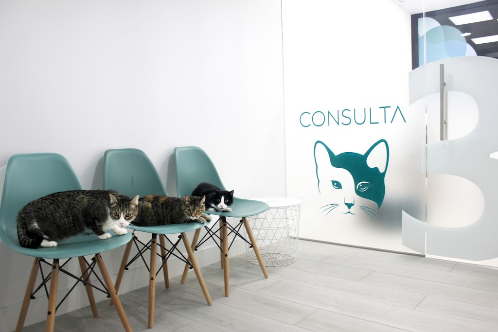 Hospital Veterinario Siglo XXI Boadilla del Monte