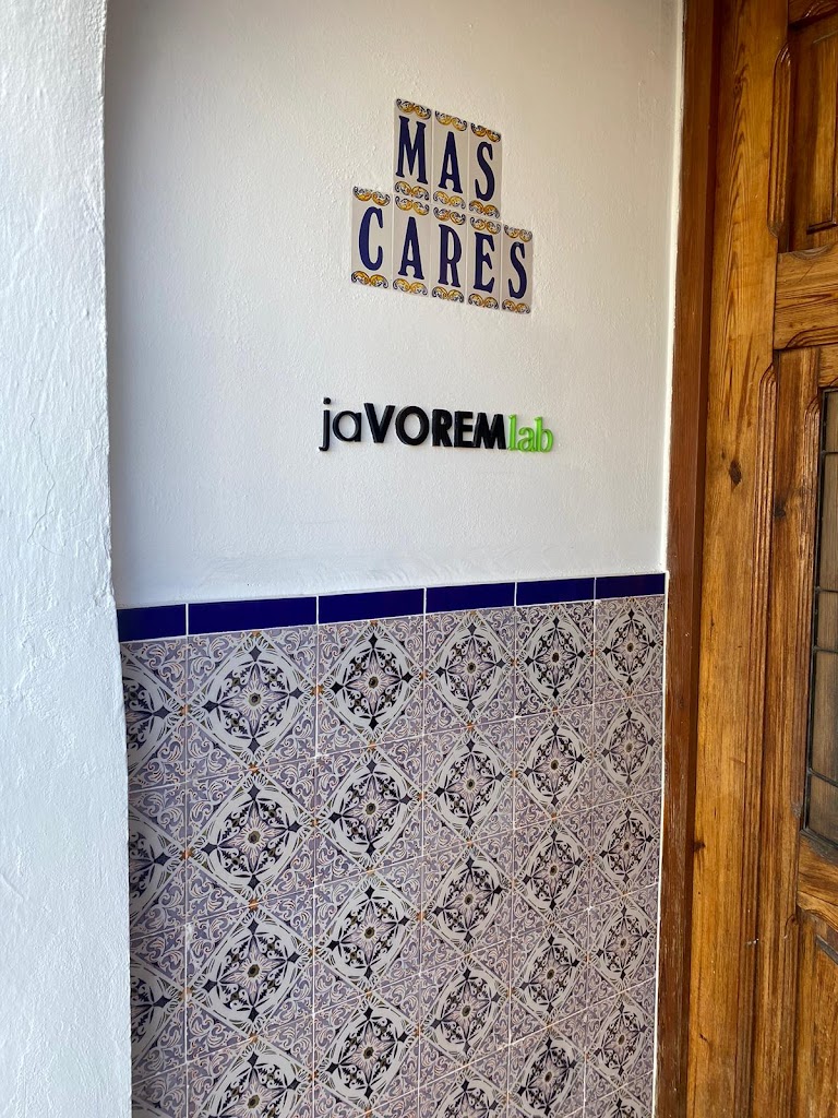 jaVOREMlab