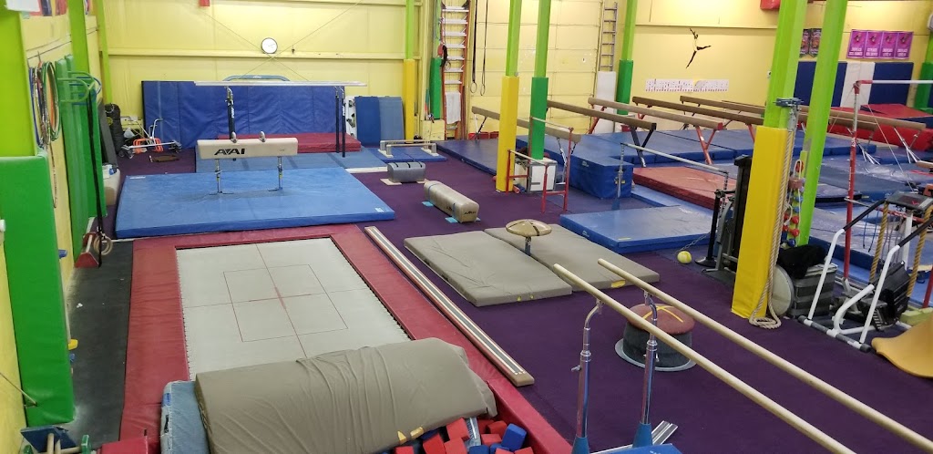  Bozhi's Gym Nest Inc