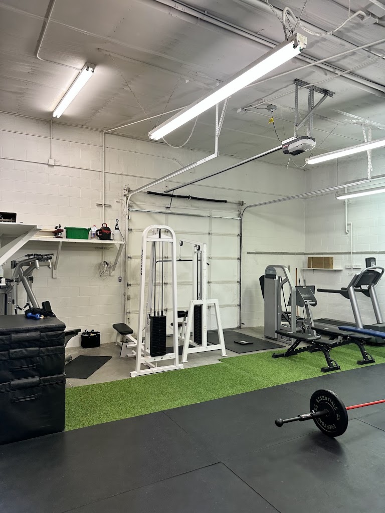  Alpha Performance Institute