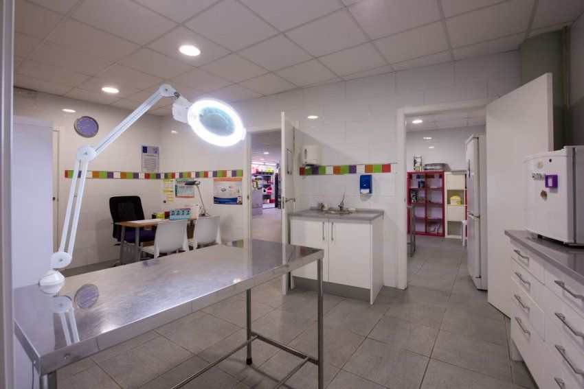 Pet Center Veterinaria — Del propietario
