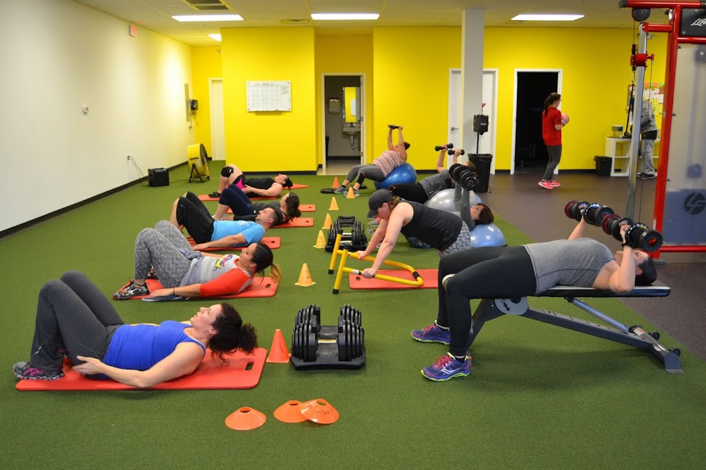  Brown Hornet Fitness