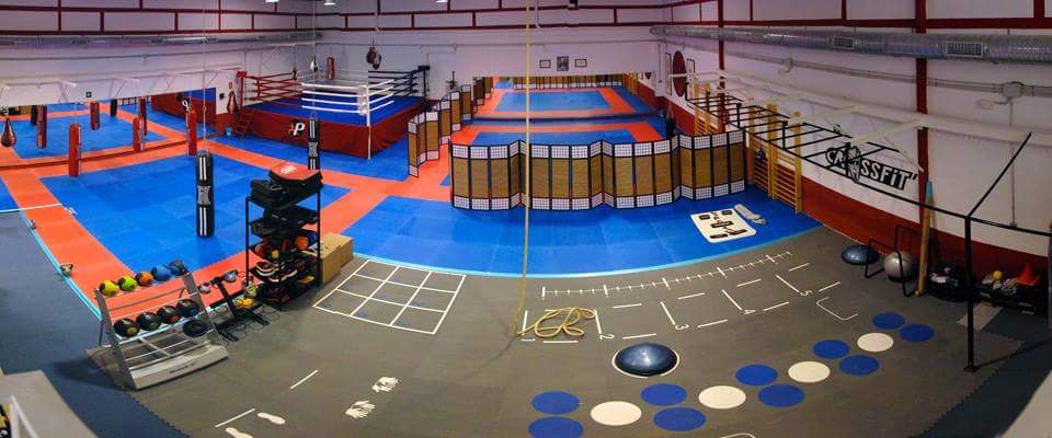 C.D. Palestra Martial Arts