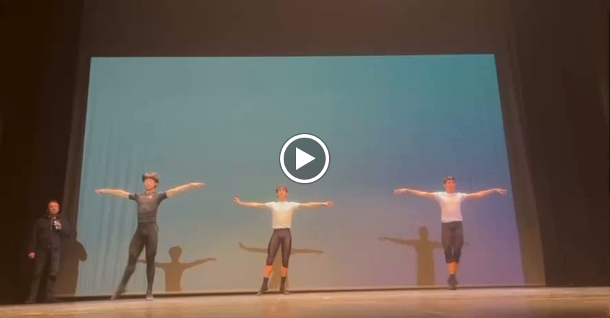 ESDAC VAGANOVA Ballet School — Del propietario