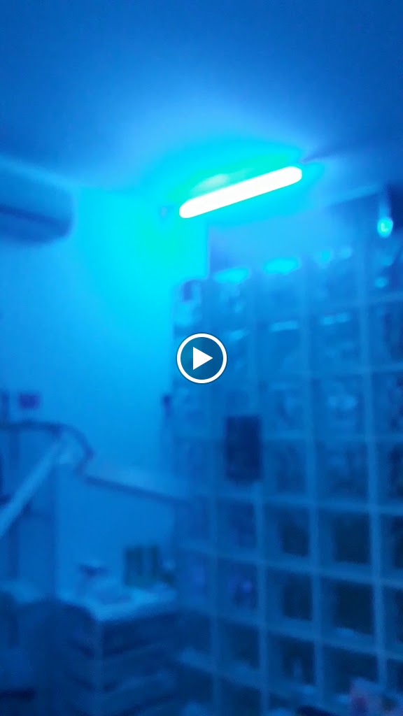 Estetica Lidia Moyano — Videos