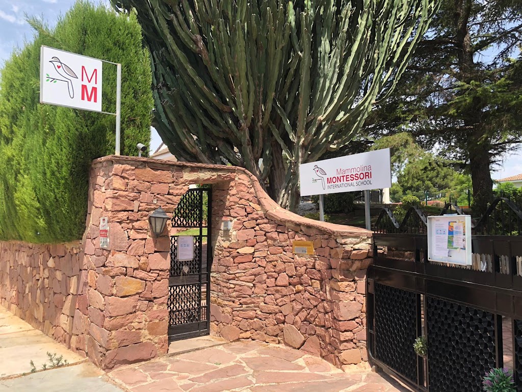 Mammolina Montessori International School