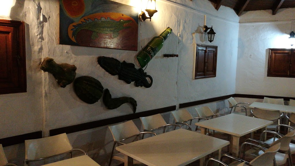 El Cocodrilo — Ambiente