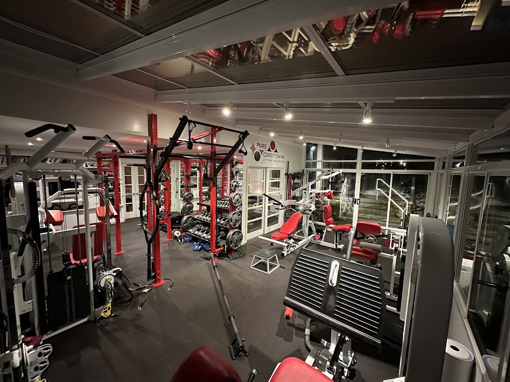  Pure Conditioning at the Solarium