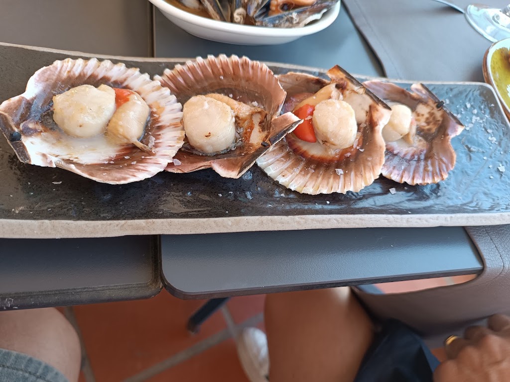 Restaurante Sal Y Almagre — Pectinidae