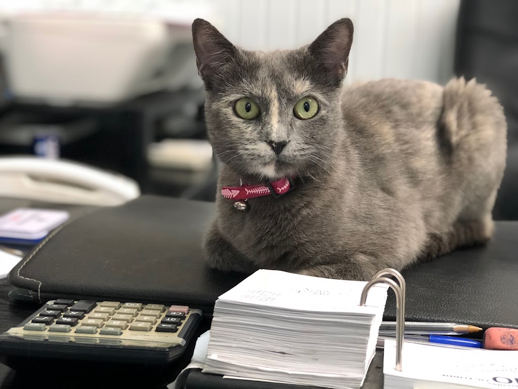 Clinica Veterinaria Andujar — Del propietario