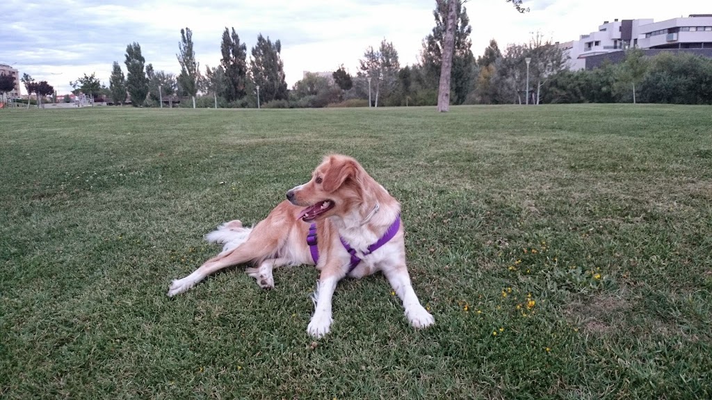 Parque Paseo del QUEILES