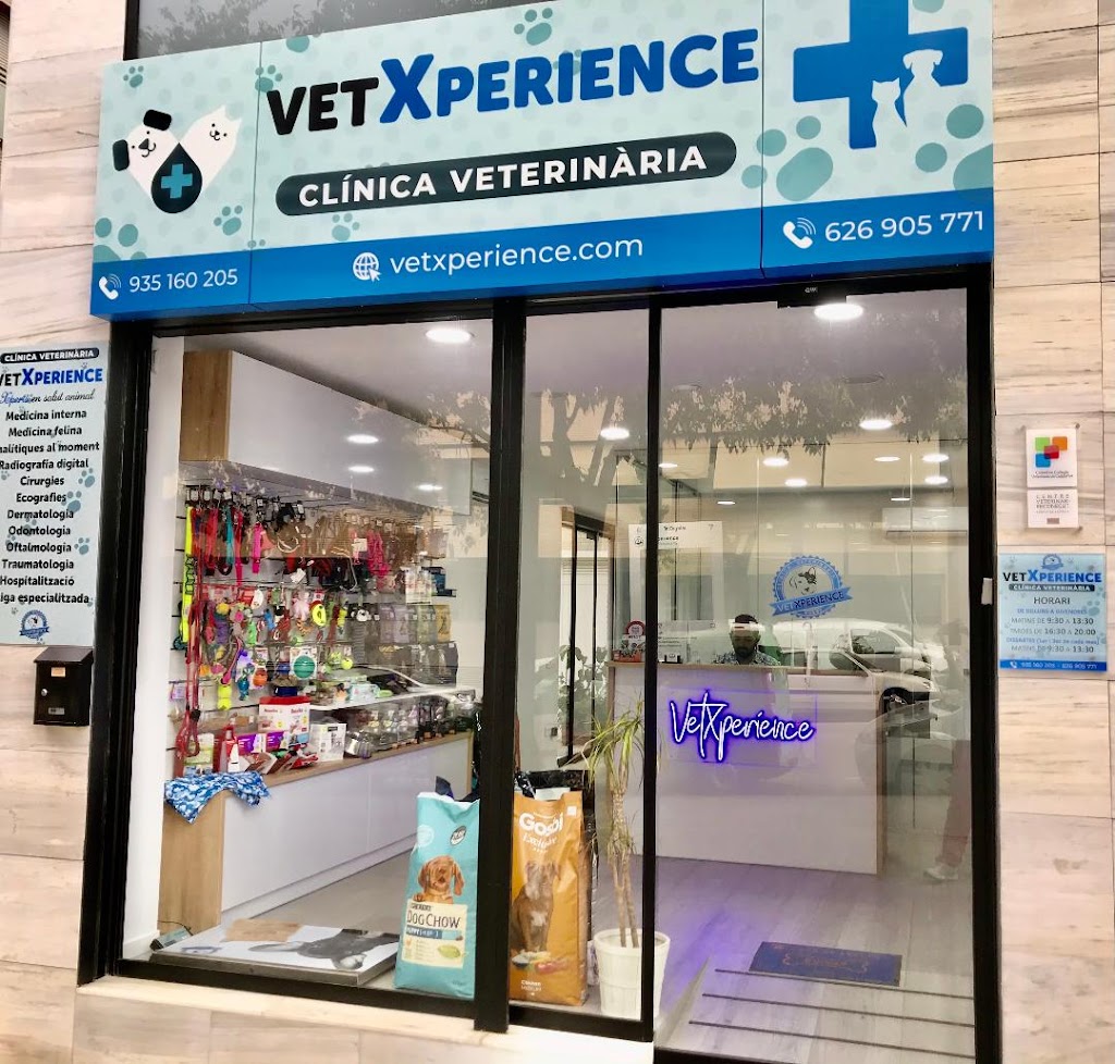 VetXperience Clinica Veterinaria