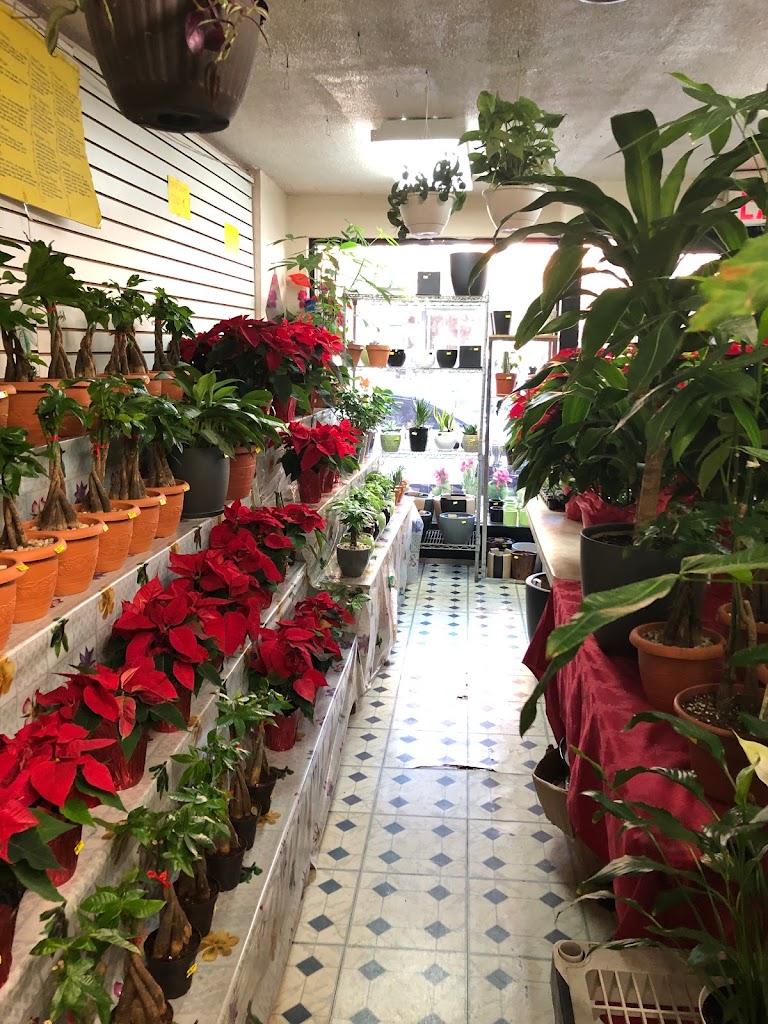 Bella Rosa Flower Shop