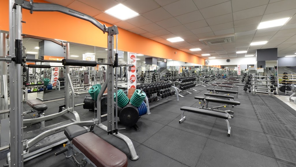 Body Factory by VivaGym Elche