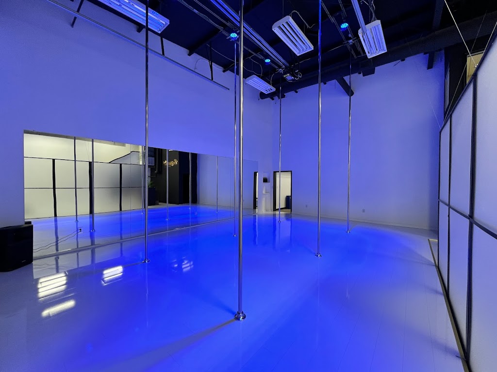  Two Sparrows Aerial Dance Co.