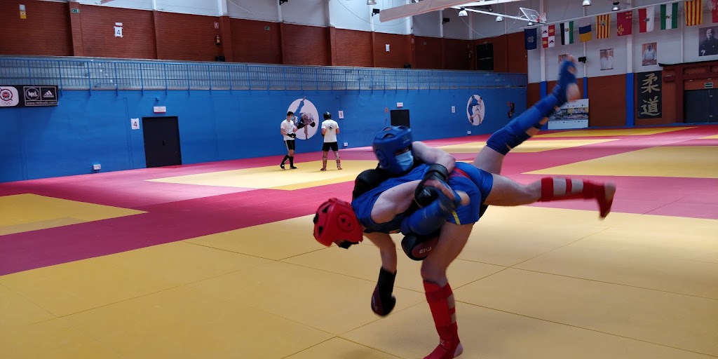 Escuela de Artes Orientales. Wushu 5 Dragones — Arte marcial