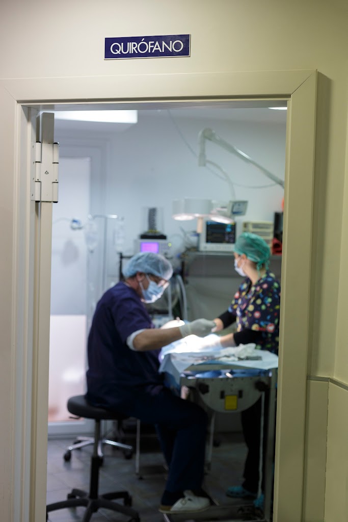 Clinica Veterinaria Perez Sintes