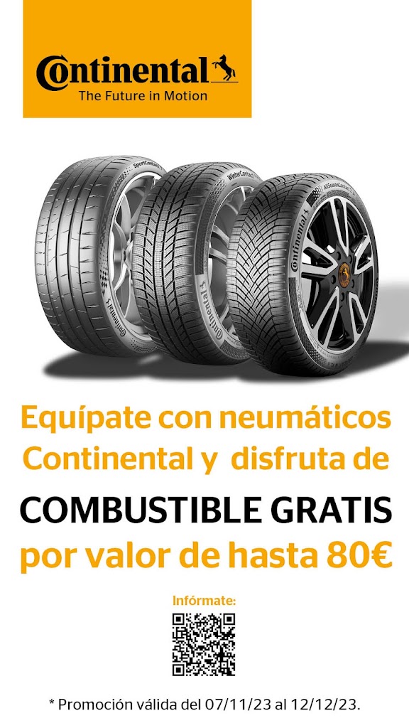 Neumaticos Carretero (FLORENCIANO SL) — Interior