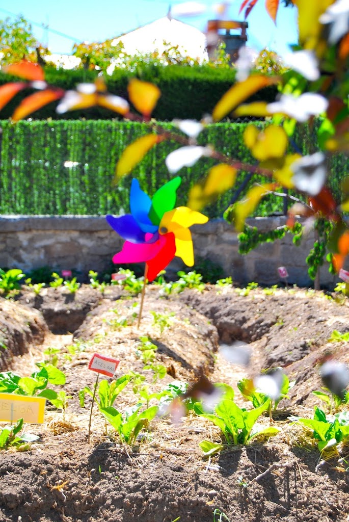 Colibri. El Arte de Aprender Jugando