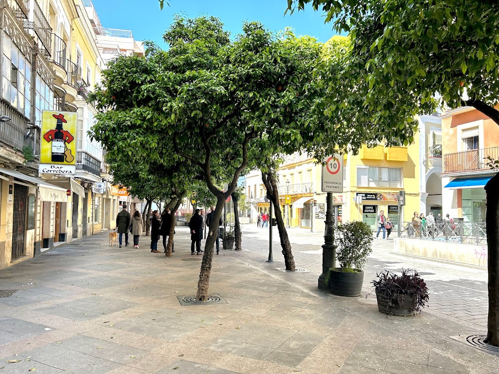 Alojanomadas Jerez Centro