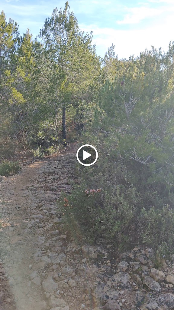 Turo de la Guardia — Videos